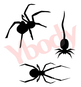3er Spinnen Schablonen